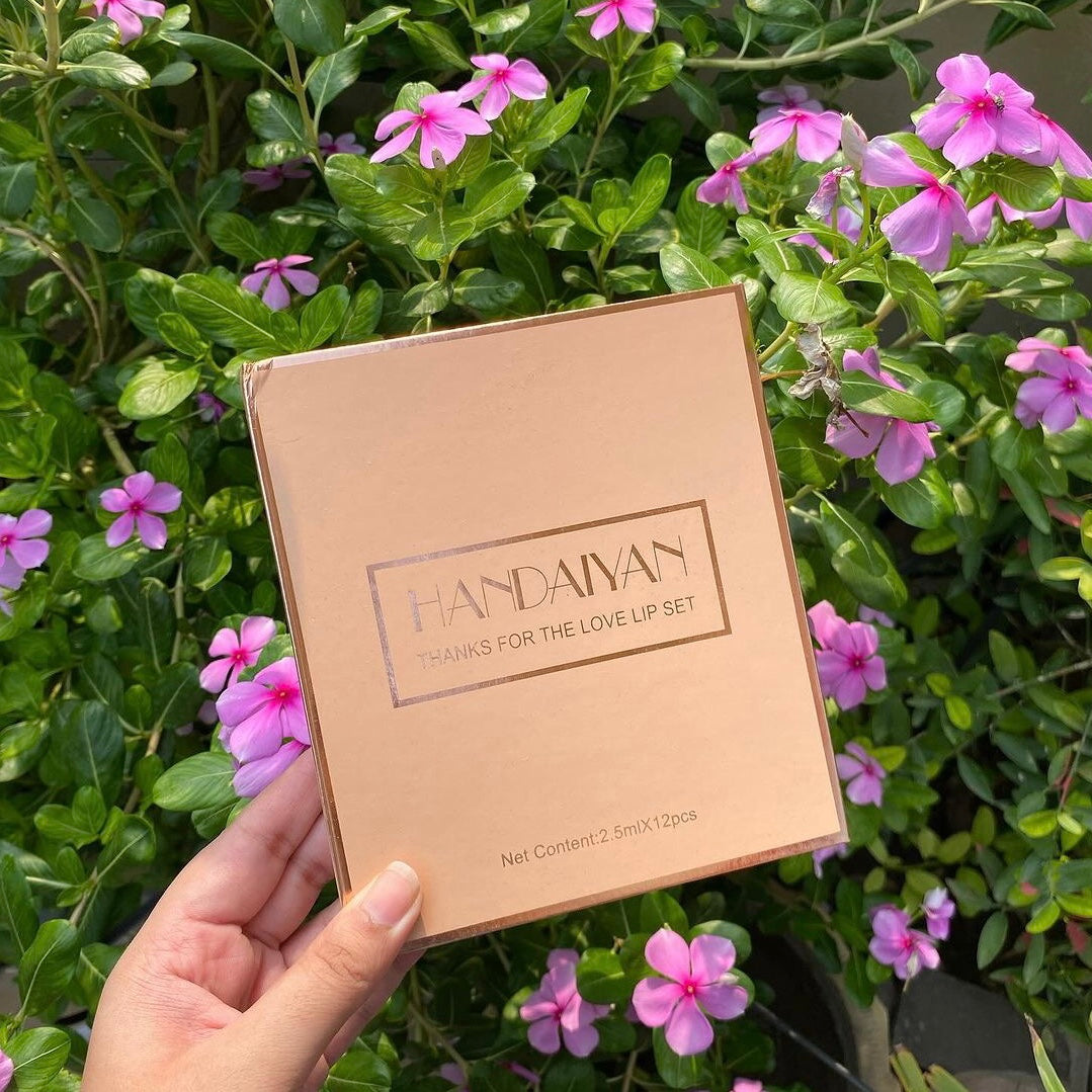 Handaiyan Matte Liquid Lipstick (12 Pcs Set)